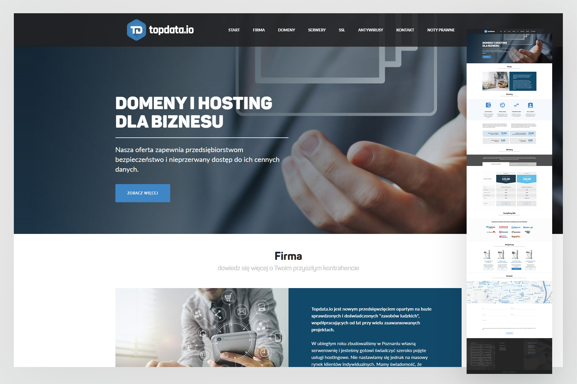 topdata.io v1 – homepage hero and domain services section